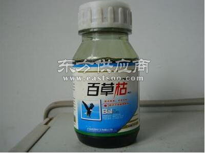 二月藍綠化器材出售與苗木營養杯供應商介紹